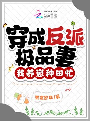 穿成了反派极品男妻