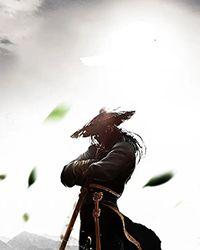 什么风雨