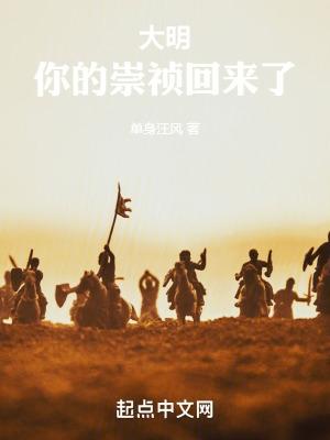 大明崇祯穿越