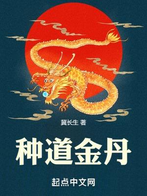 金丹道创始人