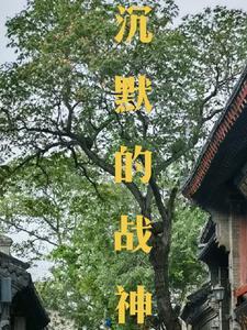沉默的山
