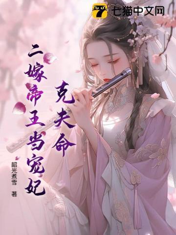 二嫁王妃视频
