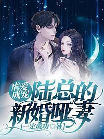 虐爱成宠陆总的新婚哑妻子
