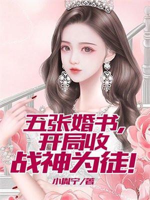开局九张婚书大结局