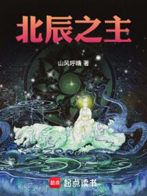 北辰之主TXT免费
