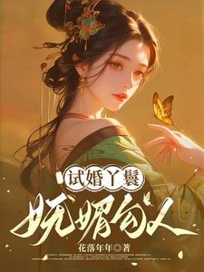 试婚丫头与驸马