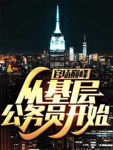 官场巅峰从基层公务员开始TXT奇书网