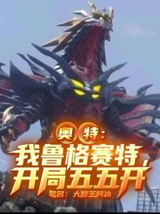 我是鲁格赛特飞卢