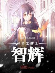 神奇宝贝智辉笔趣阁