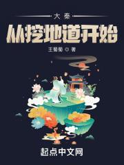 我从大秦来