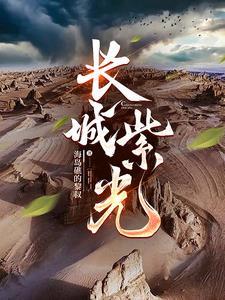 西城紫光科技