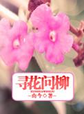 何处寻觅的意思