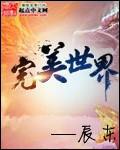 完美世界第237集